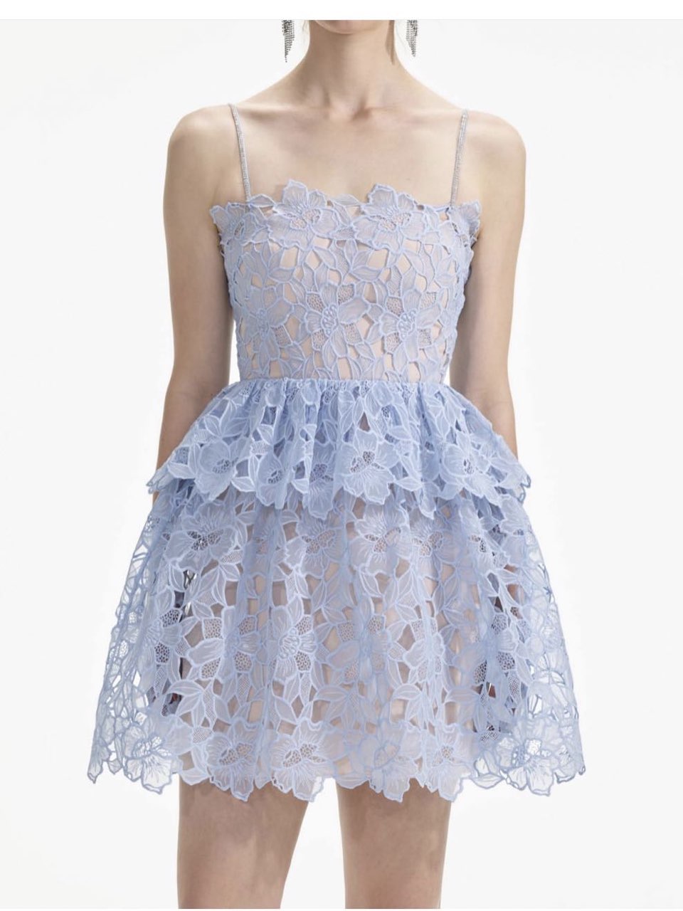 Corded Lace Mini Dress