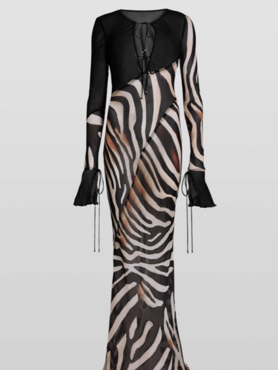 Zebra Print Mesh Maxi Dress