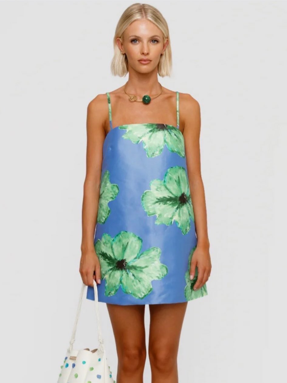 The wolf gang Palma mini dress