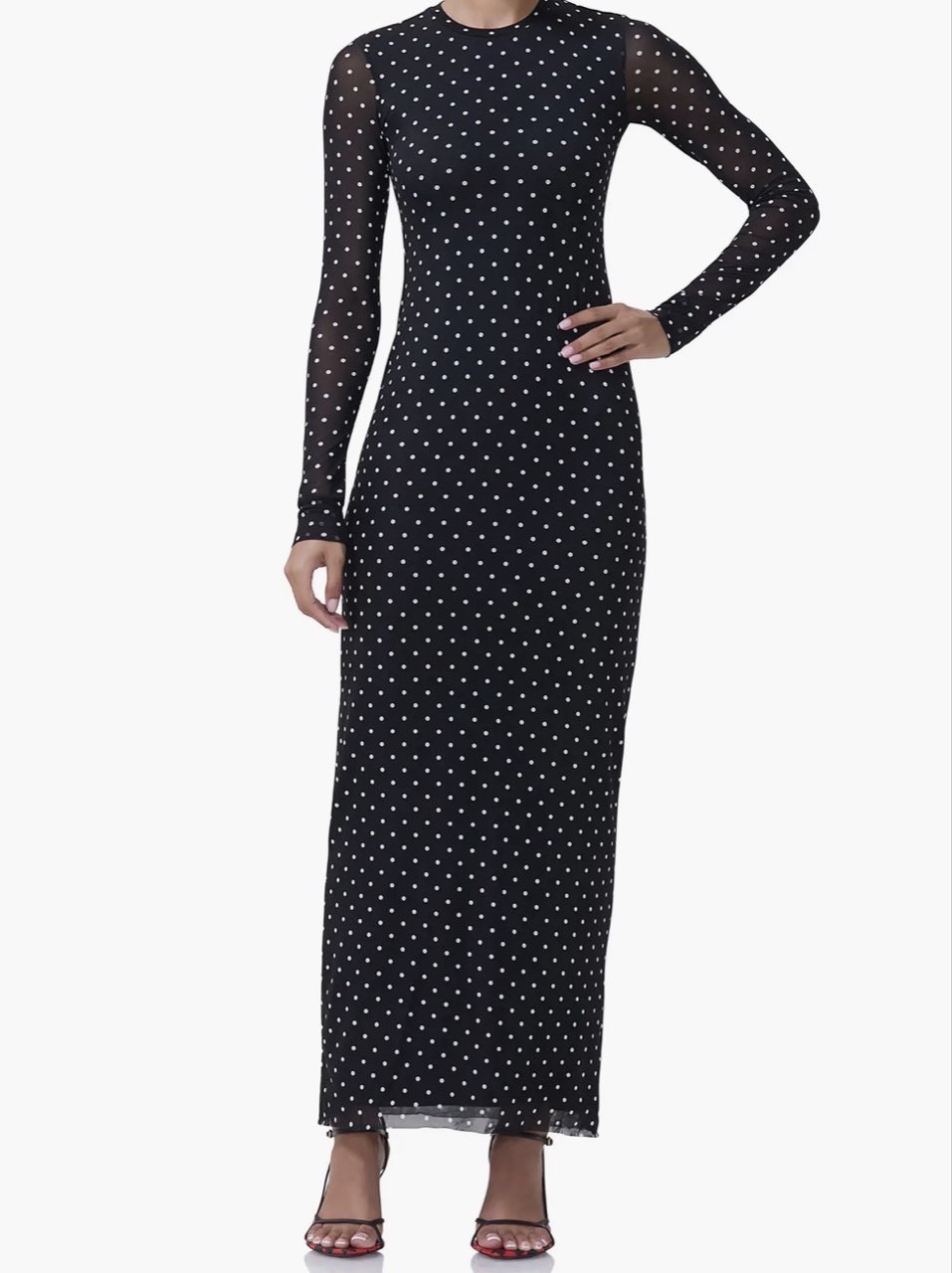 Black Polka Dot Mesh Maxi Dress
