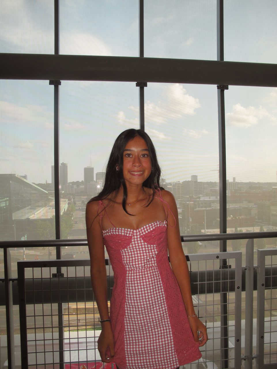 Pink Gingham Eyelet Mini Dress
