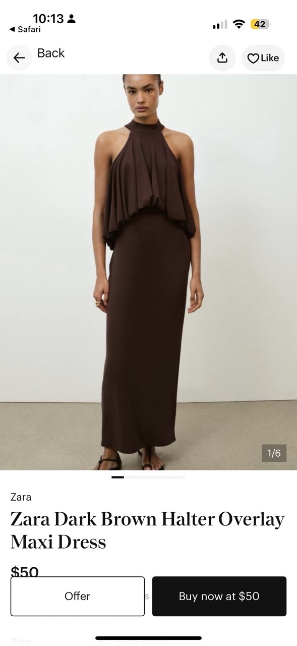 Brown Zara Dress