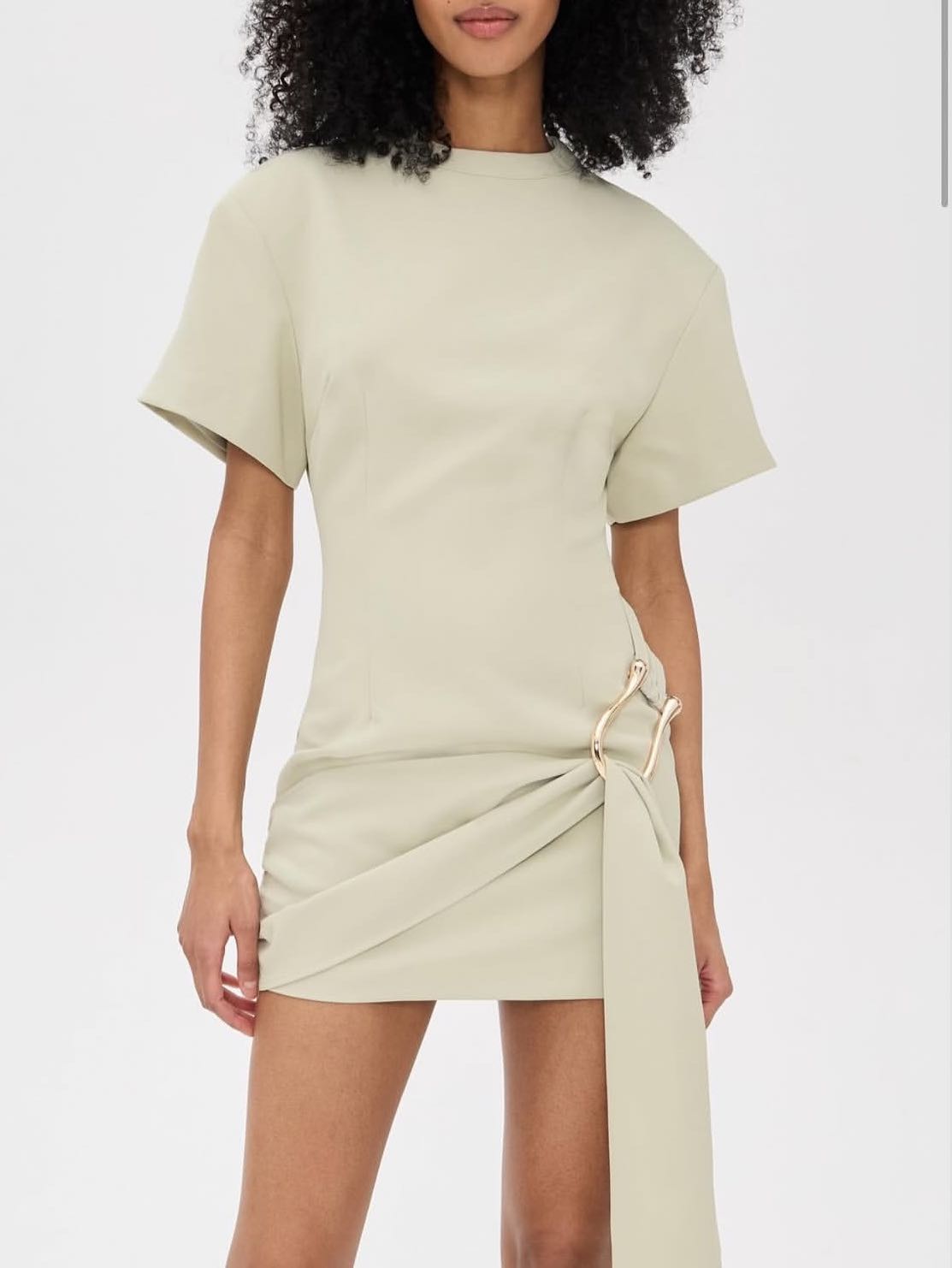 Lioness mini dress