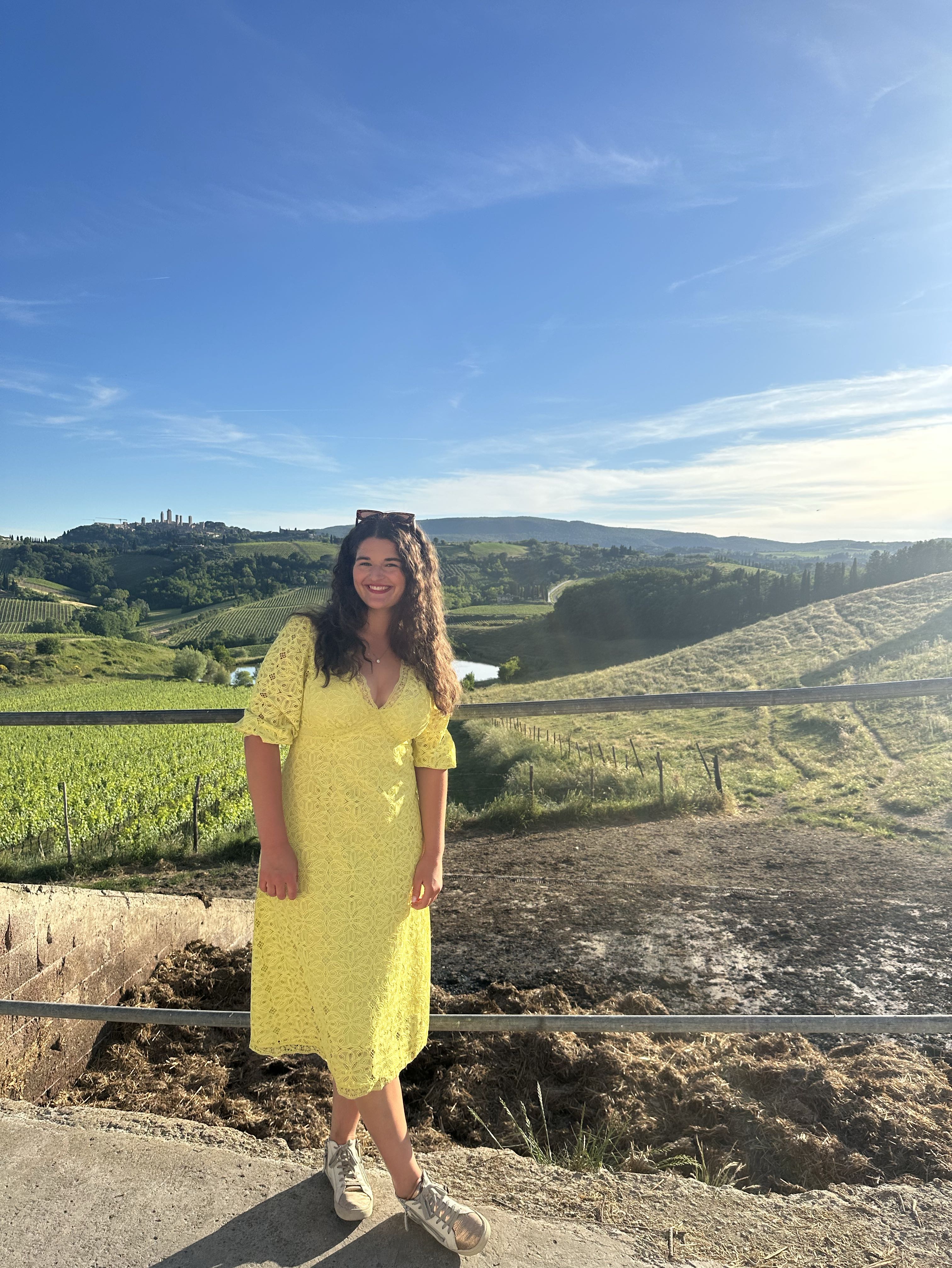 Anthropologie Lime Lace Dress