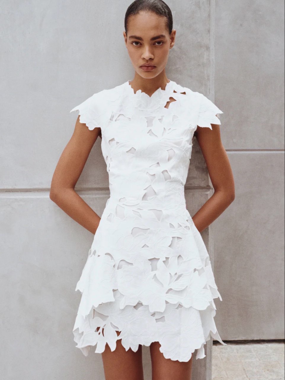 Holloway Embroidered Mini Dress