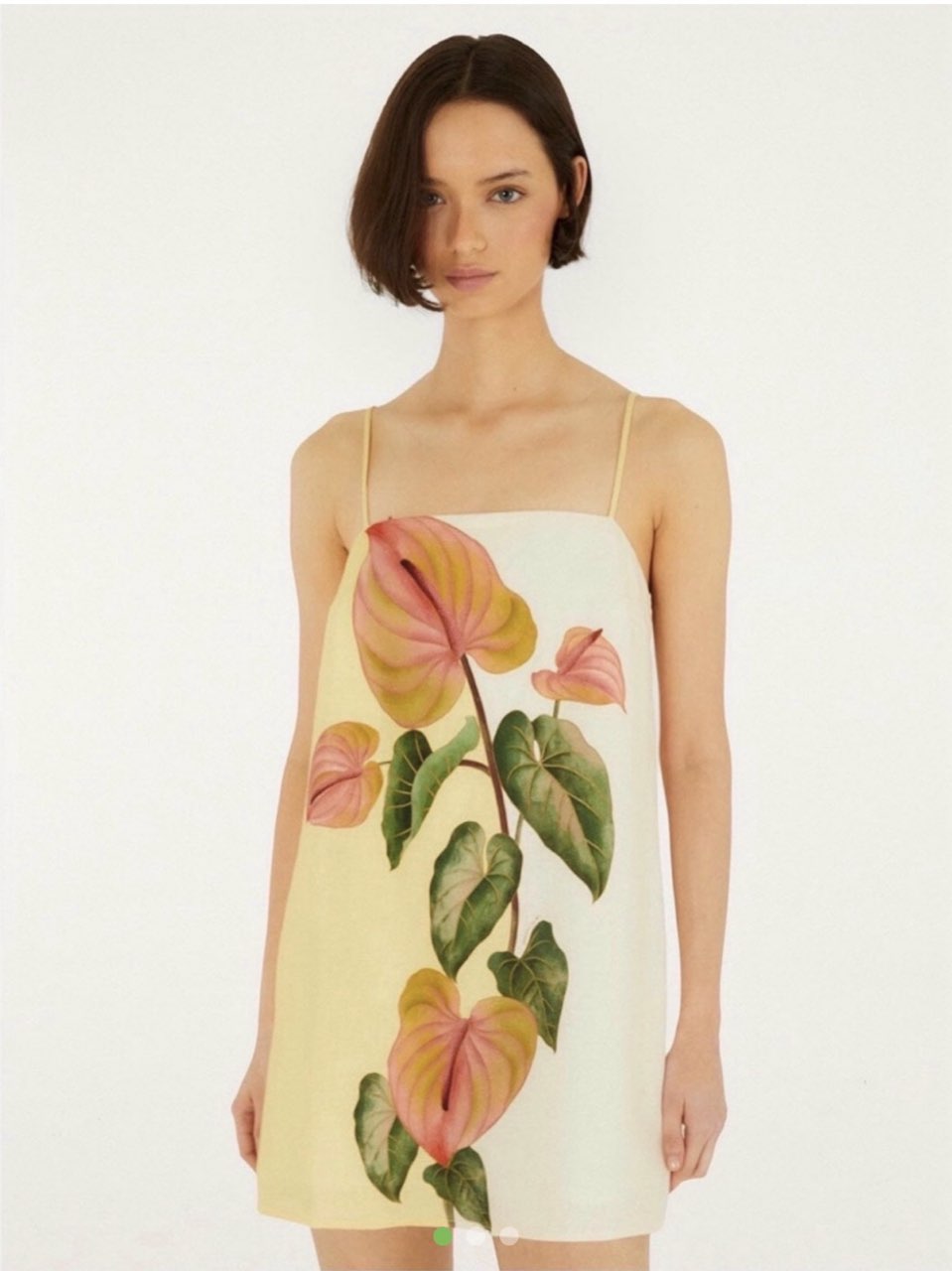 Anthurium Print Mini Dress