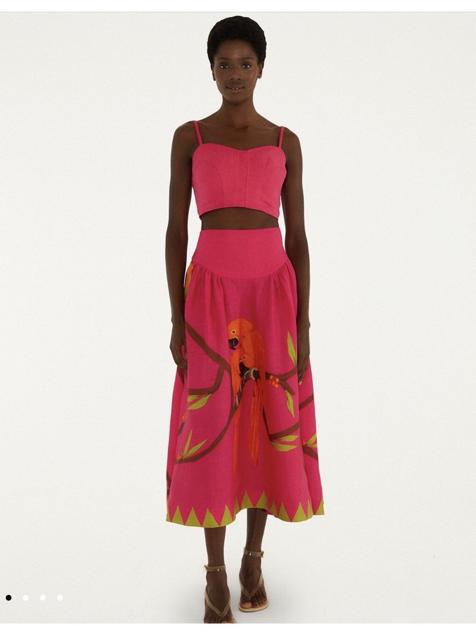 Hot Pink Parrot Print Crop Top & Midi Skirt Set
