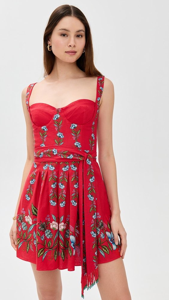 Red Floral Bustier Mini Dress