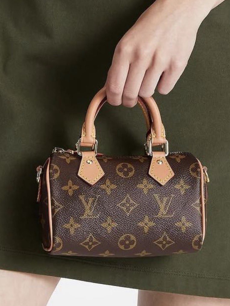 Louis Vuitton Monogram Nano Speedy Bag