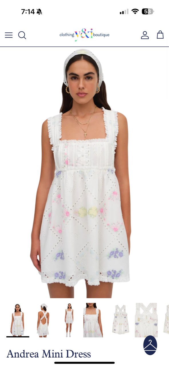 Andrea Embroidered Mini Dress