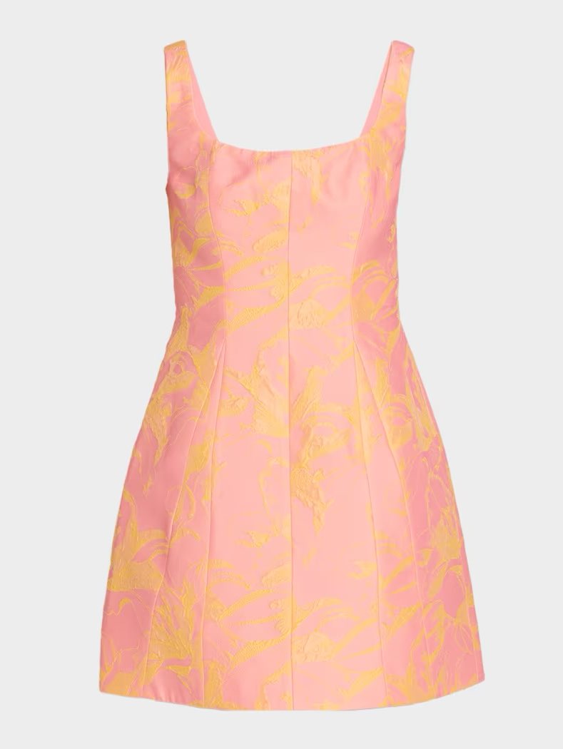 Amira Sleeveless Floral Jacquard Mini Dress