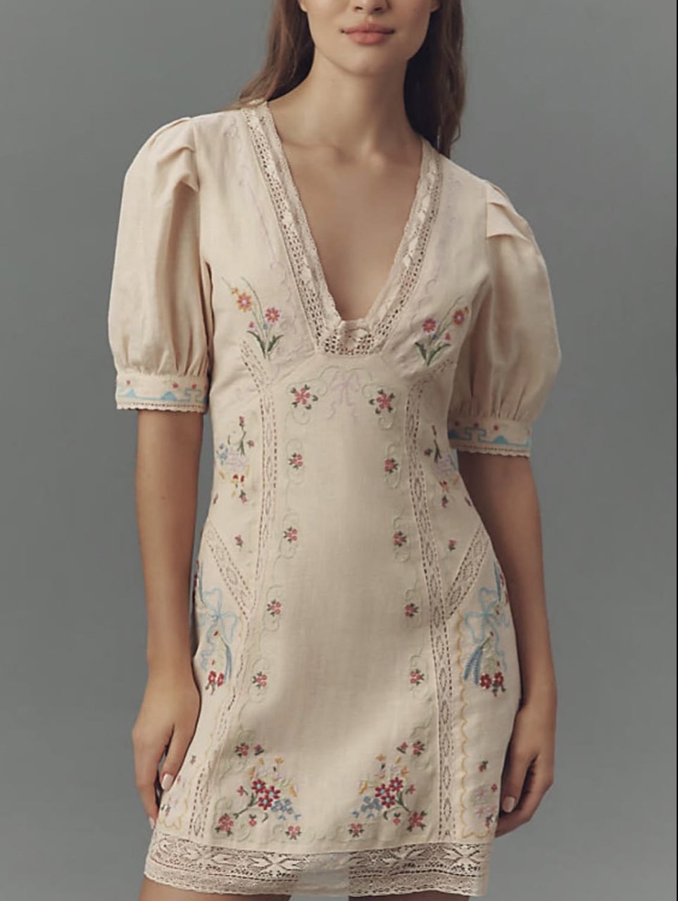 Embroidered Puff Sleeve Mini Dress