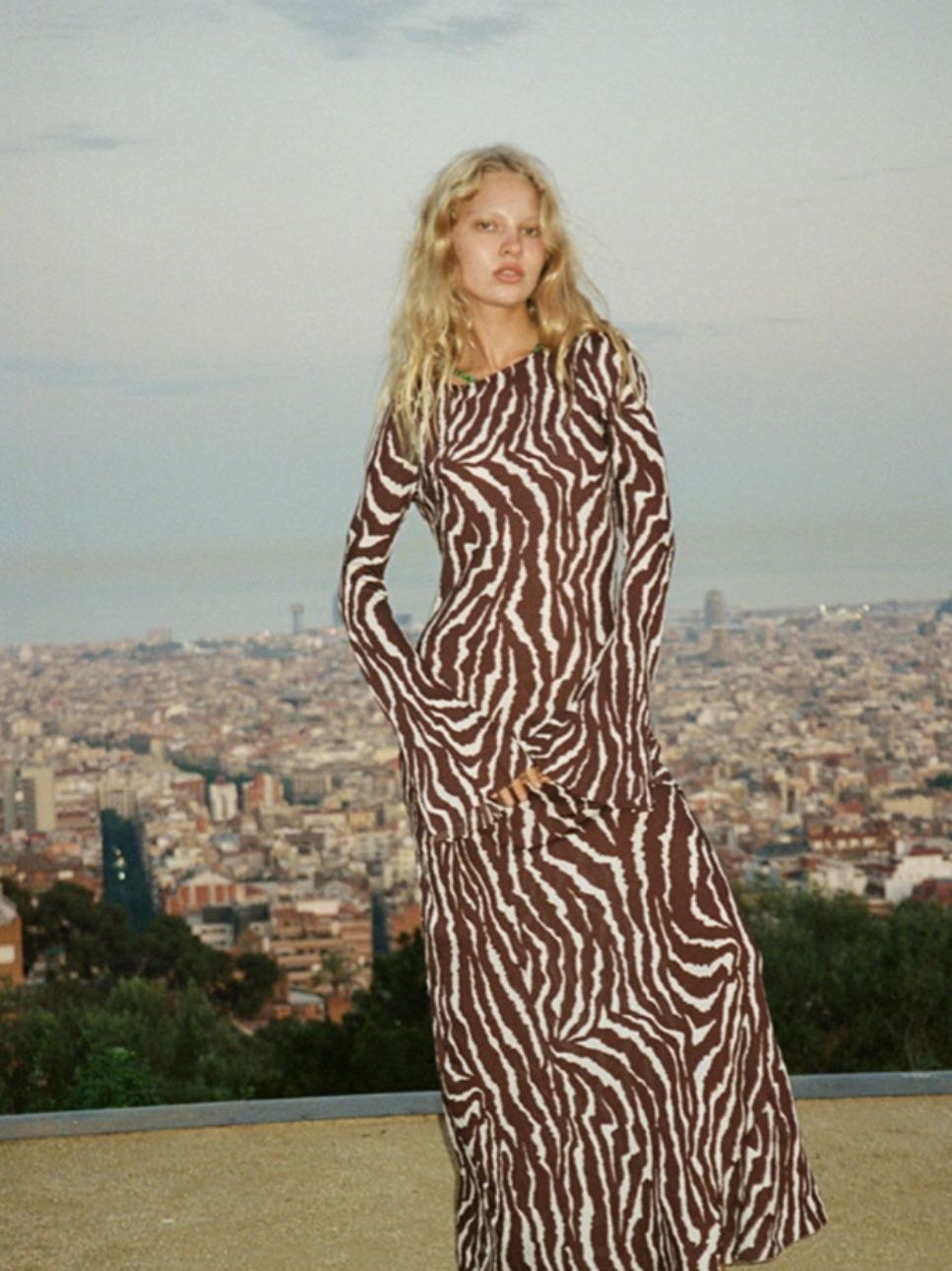 Zebra Print Maxi Dress