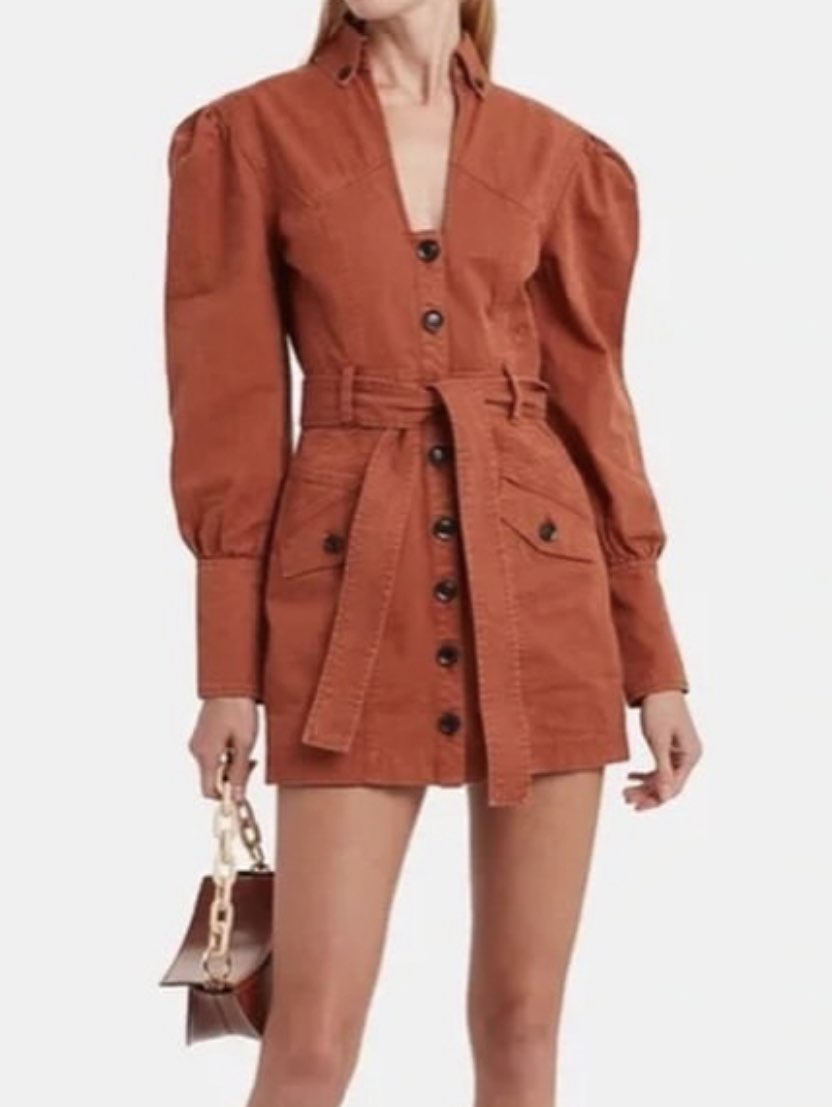 Rust Puff Sleeve Utility Mini Dress