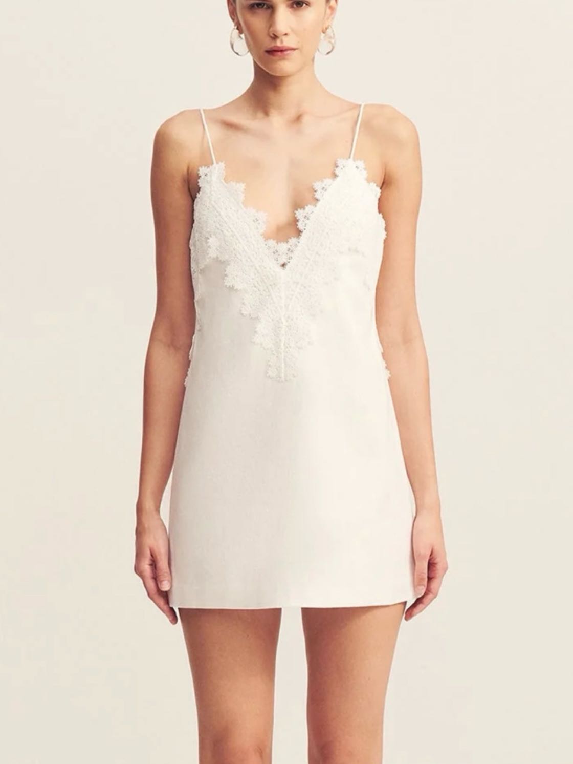 Toile Linen Lace Dress