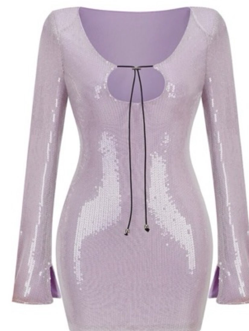 Silver Sequin Long Sleeve Mini Dress
