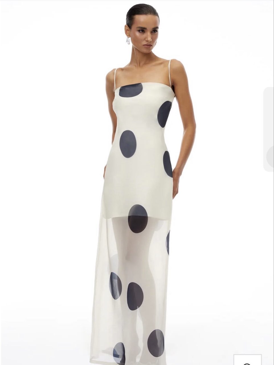 Polka Dot Sheer Maxi Dress