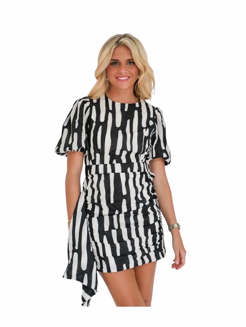 Fancy D boutique dress