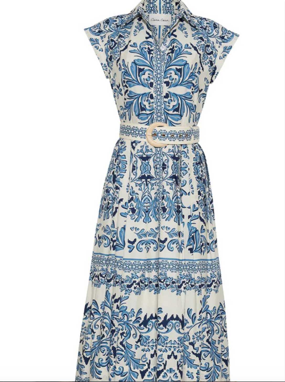 Cara Cara Blue and White Printed Midi Shirtdress
