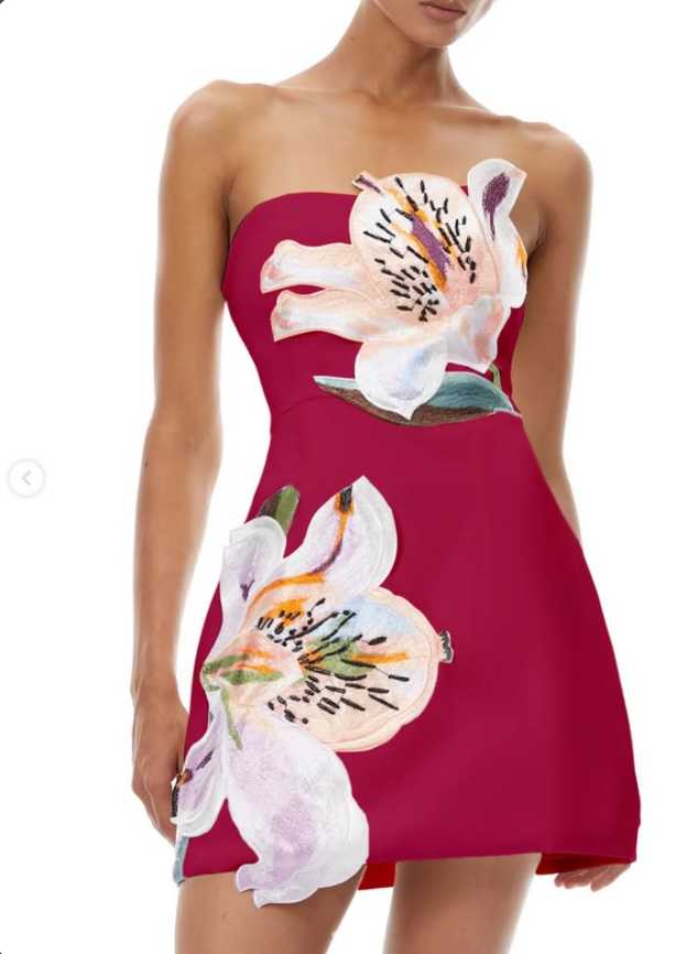 NOT A DUPE Embroidered Strapless Mini Dress