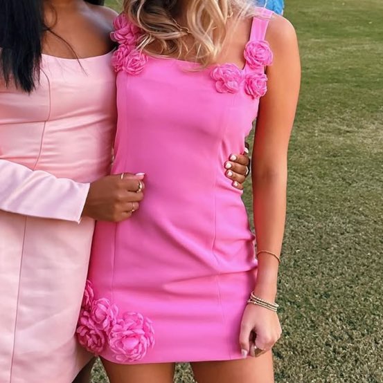 Elliatt Pink Floral Applique Mini Dress
