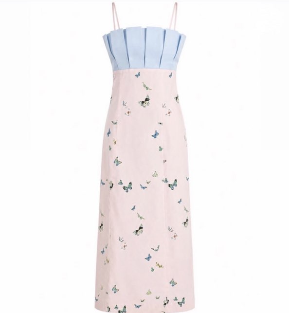 CocoLillys Butterfly Print Pleated Maxi Dress