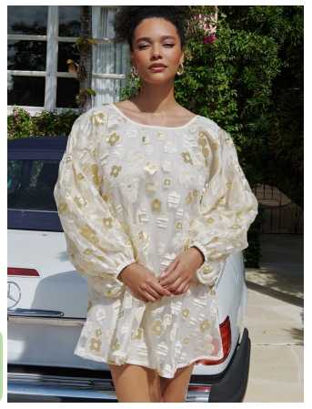 Cream and Gold Floral Puff Sleeve Mini Dress