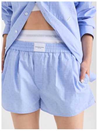 Alexander Wang Light Blue Boxer Shorts