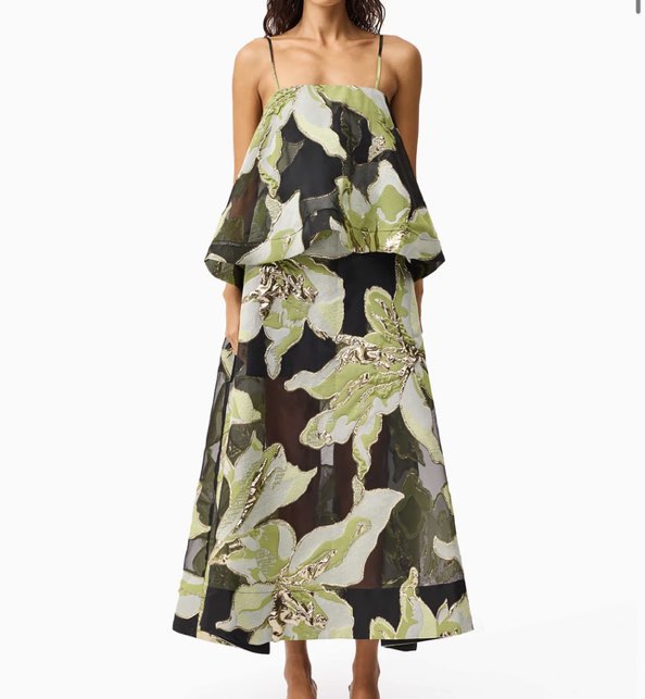 Elliatt elysia gown