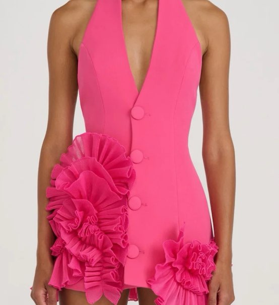 Eliya The Label Hot Pink Ruffled Halter Mini Dress