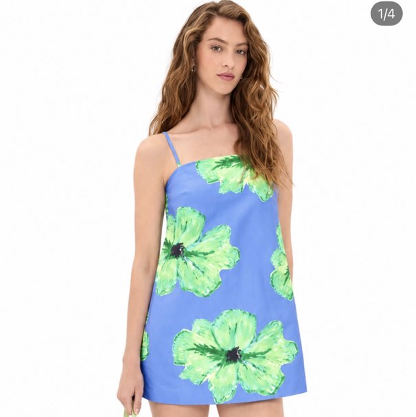 Wolf Gang Palma dress