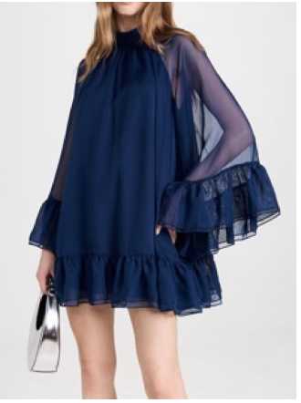 Navy Sheer Ruffle Mini Dress