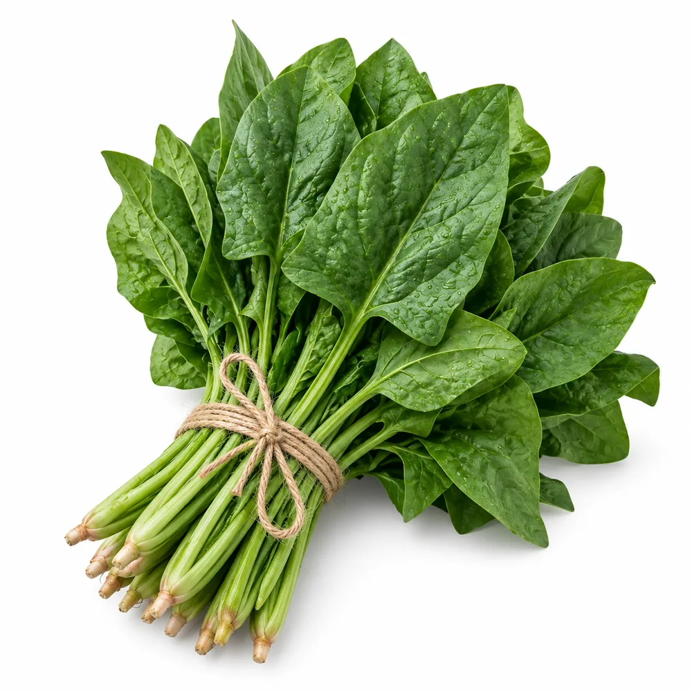 پالک گٹی