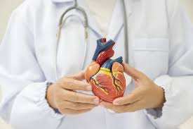 cardiologist