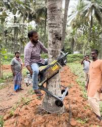 Coconut Climber
