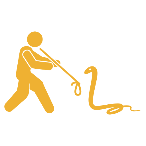 Snake Rescue