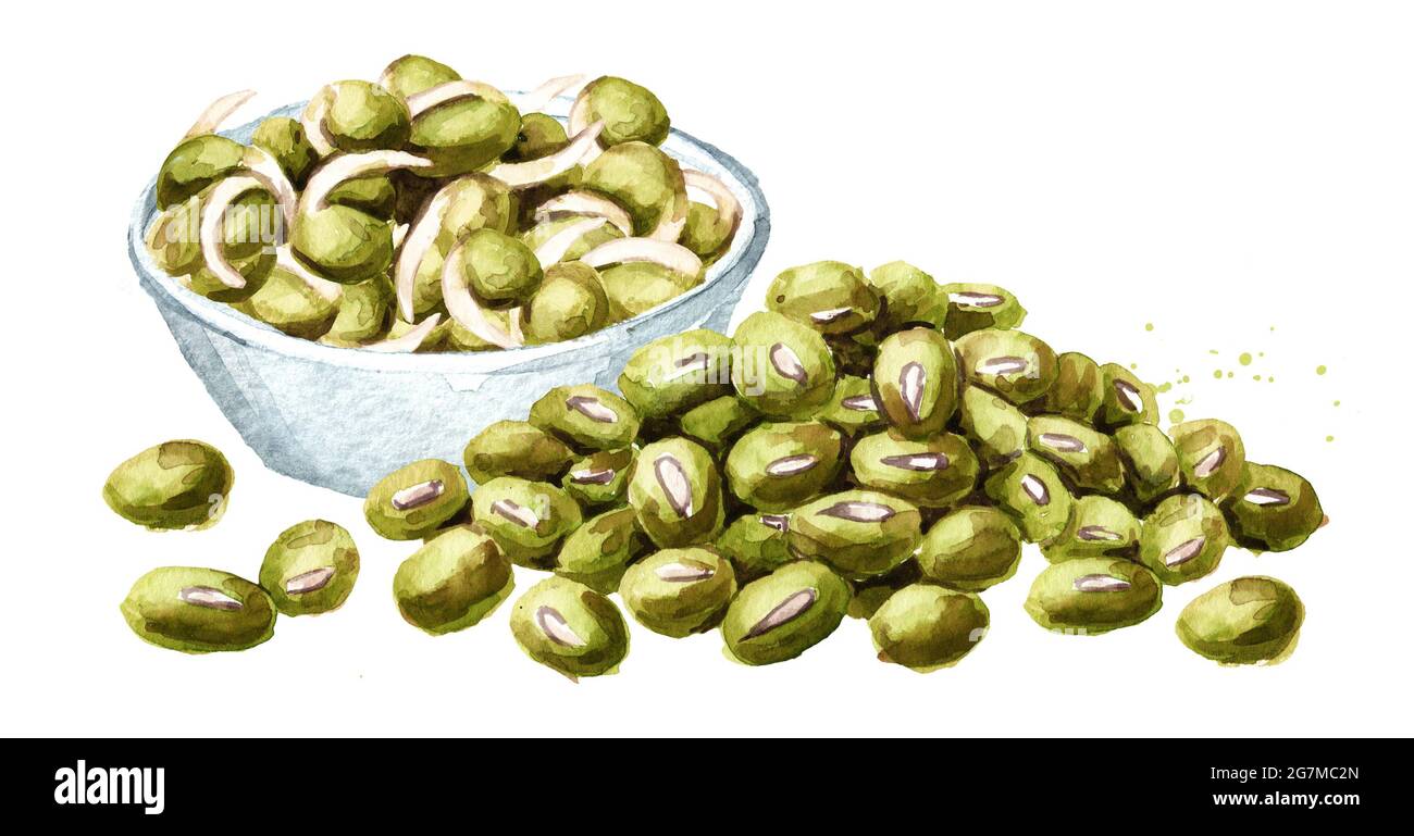 Sprouted seeds/pulses.