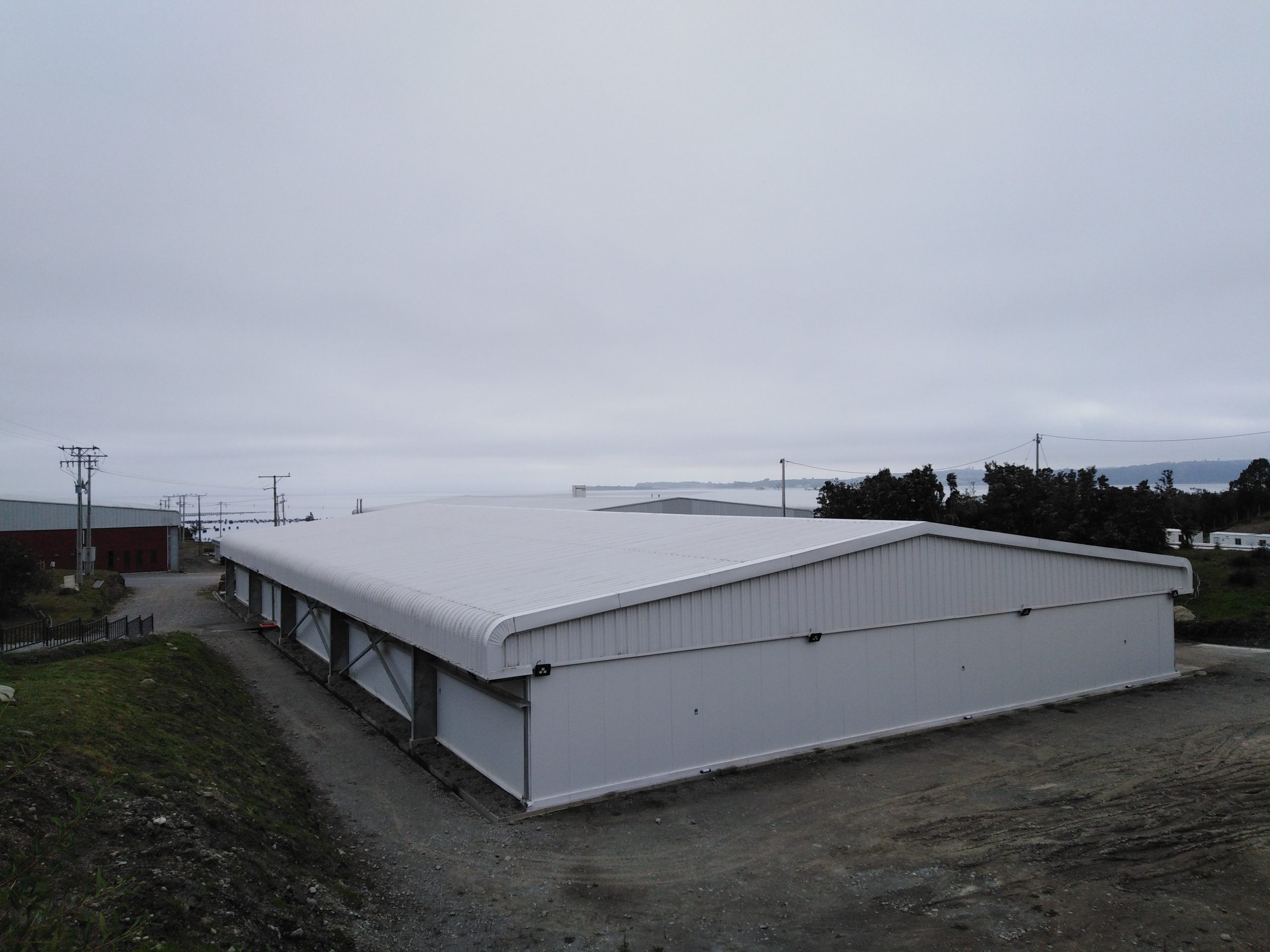 Novofish Plantas IIII, IV, V, VIII