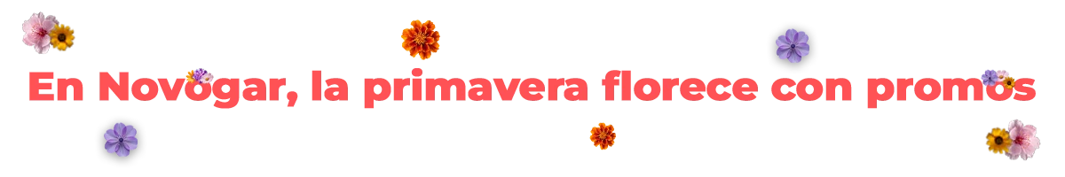 Fiesta de ofertas en Novofest
