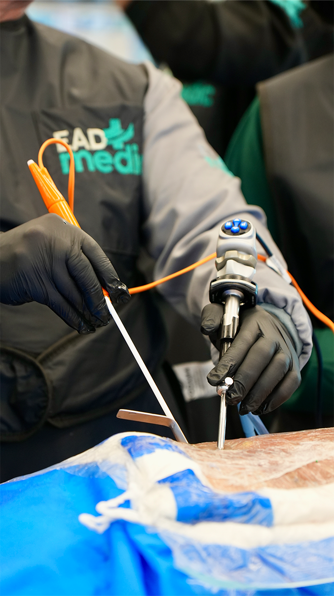 Treinamento prático de endoscopia biportal da coluna
