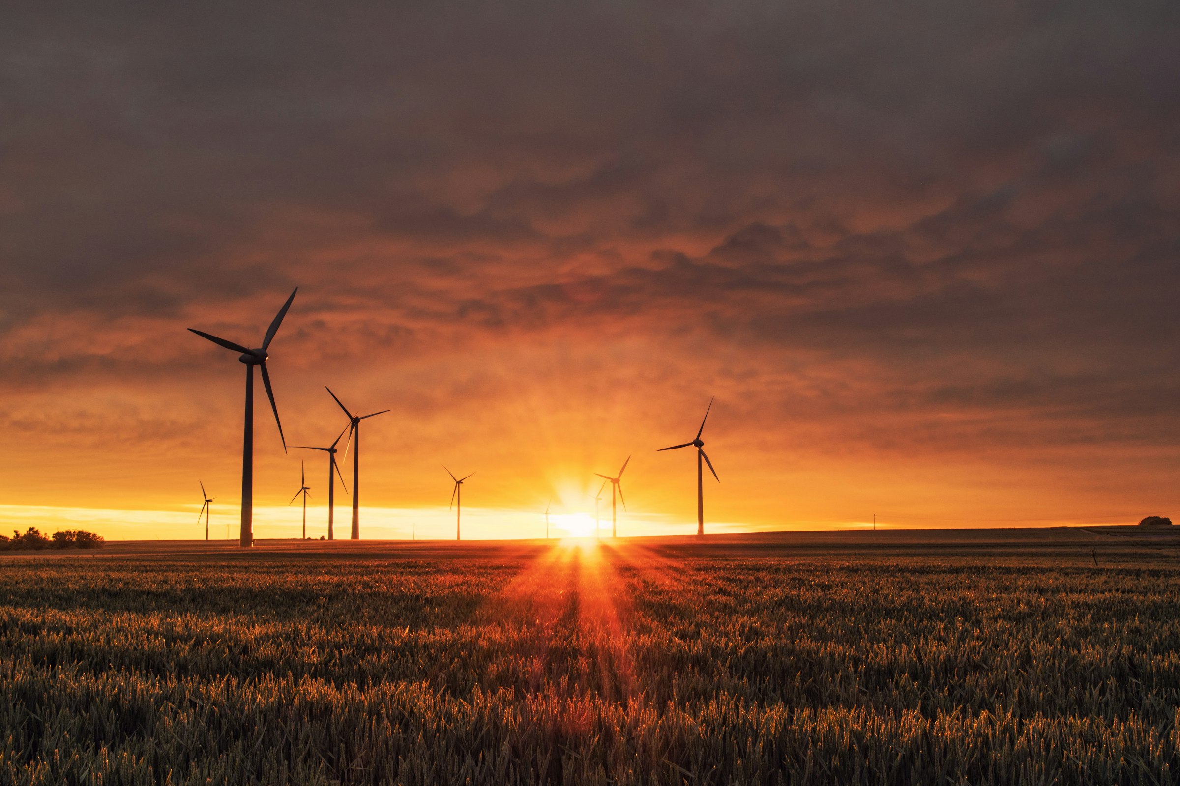 Renewable Energy Insurance Growth in India: Market Insights and Projections for 2025-2026