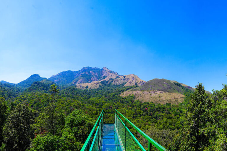 Wayanad - The green paradise poster