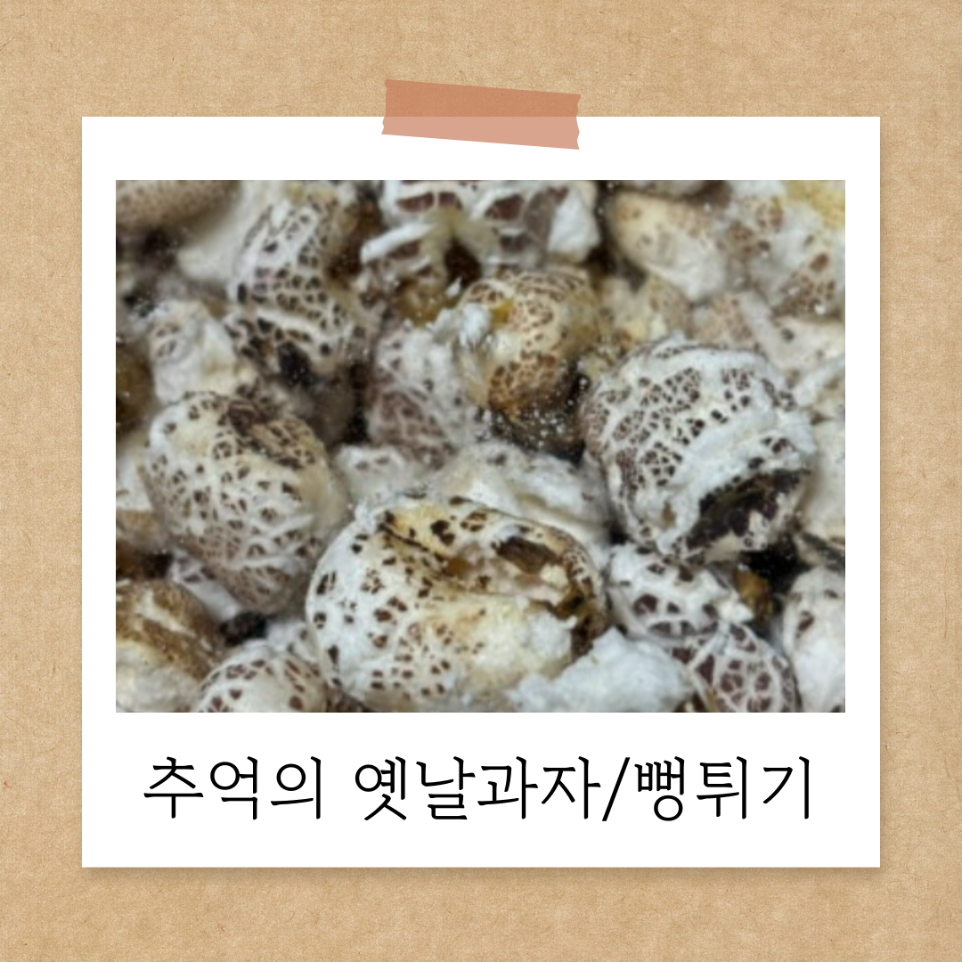 어물이야기 이미지