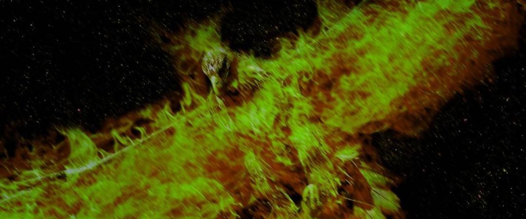 13th New Album's main image
