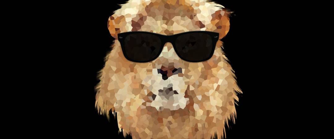 LionSounds's main image