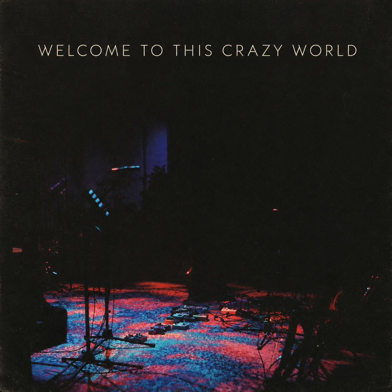 Welcome to This Crazy World.png