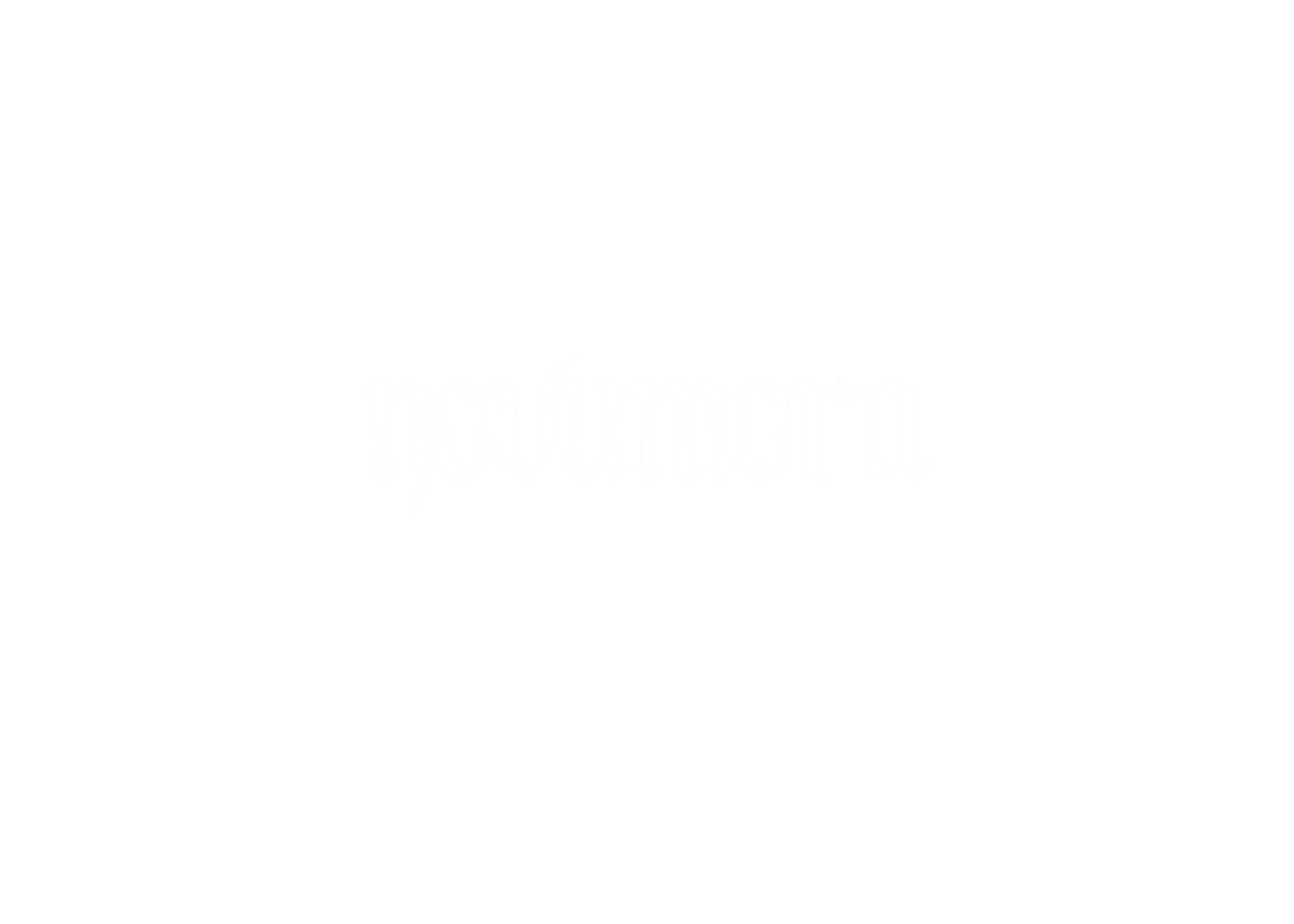 Novumora New White Logo.png