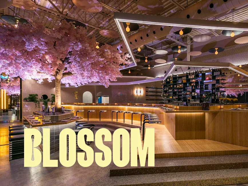Le Blossom — Village | Sushi & Cocktails à Montréal
