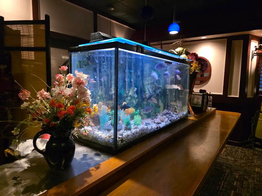 Toyo Japanese Steakhouse