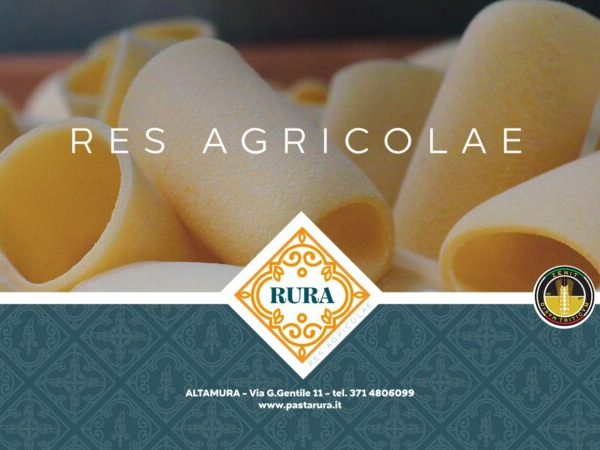 Pasta Rura: Solo Grano Certificato coltivato in Puglia e Basilicata.